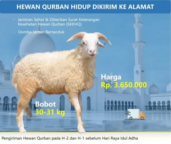 Kurban - Qurban Domba  ciruas